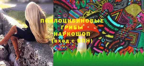 амф Аркадак