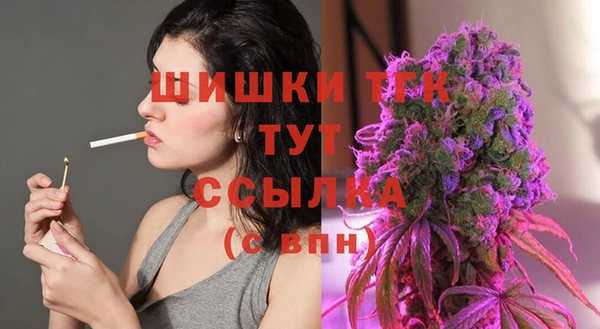 амф Аркадак