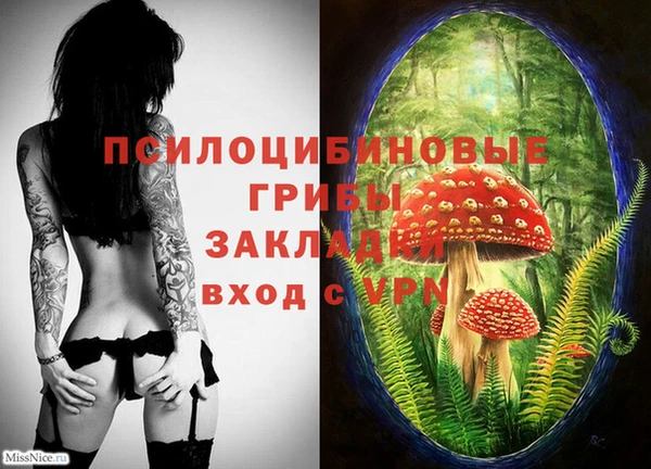 метадон Арсеньев