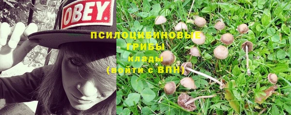 метадон Арсеньев