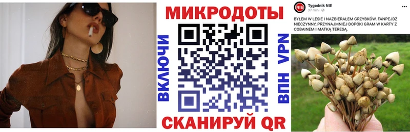 Галлюциногенные грибы мицелий  кракен ONION  Ижевск 