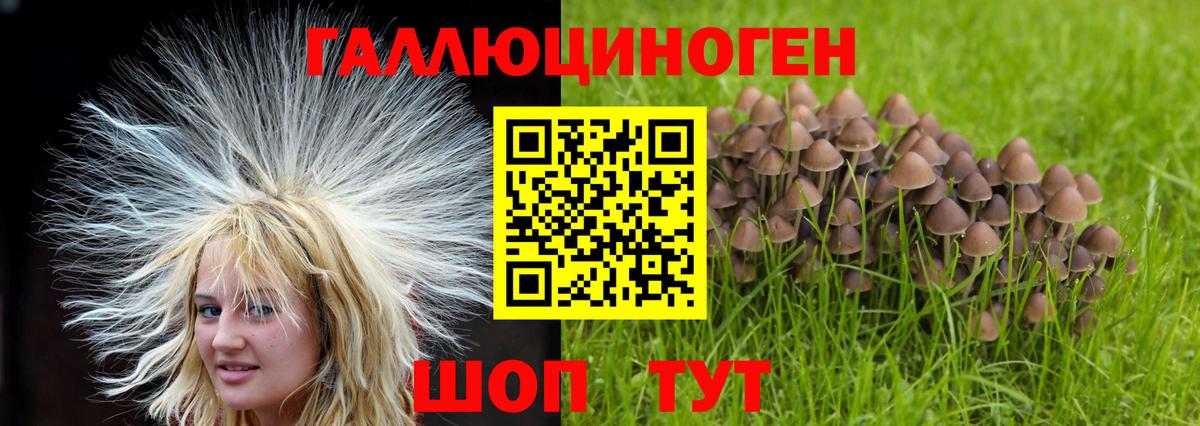 Галлюциногенные грибы мухоморы Ижевск